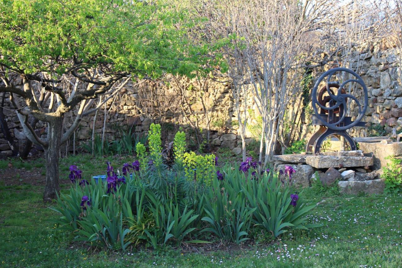 Mas Les Romarins, 10 Min D'Uzes, Grand Jardin, Nid De Repos Et Base Pour Activites Dans Le Gard, Max 8 Adultes Et 3 Enfants Villa Buitenkant foto